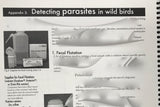 An Introduction to Aquatic Bird Rehabilitation