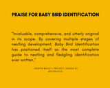 Baby Bird Identification: A North American Guide
