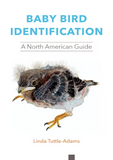 Baby Bird Identification: A North American Guide