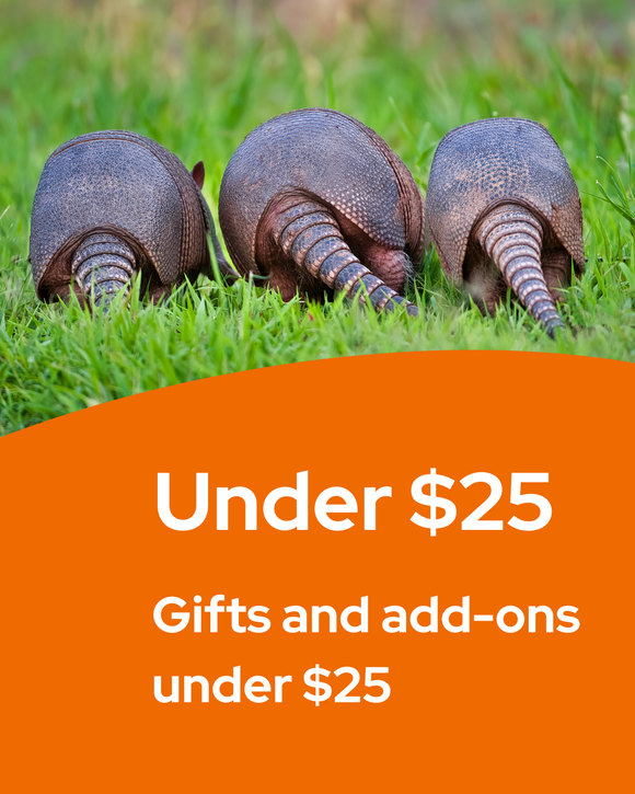 Under $25