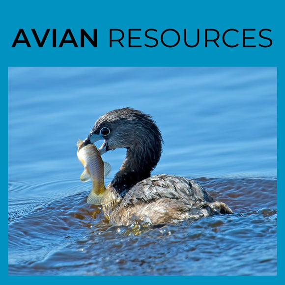 Avian Resources
