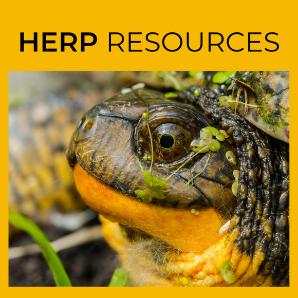 Herp Resources