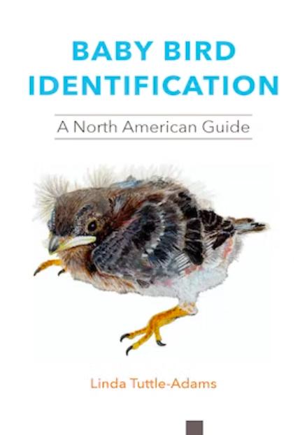 Identification Guides