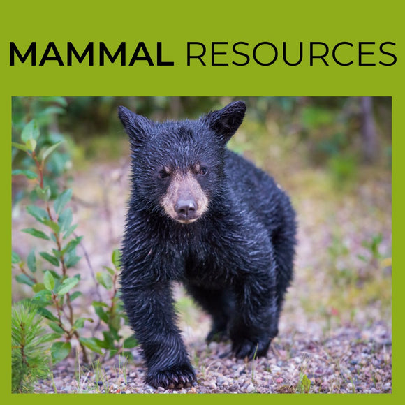 Mammal Resources
