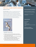 The Gull Guide: North America