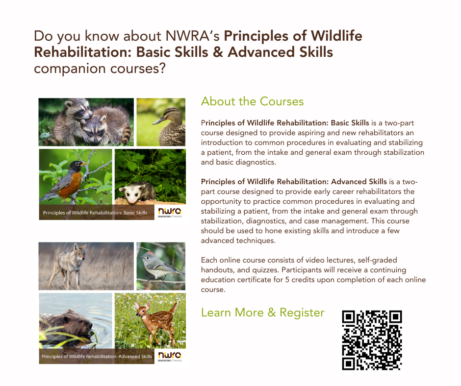 Principles of Wildlife Rehabilitation, 2nd edition – National Wildlife ...