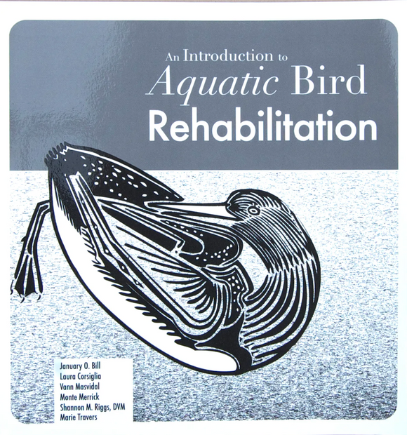 An Introduction to Aquatic Bird Rehabilitation
