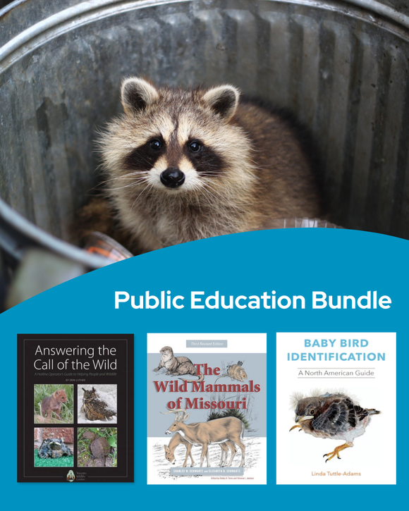 Public Education Bundle