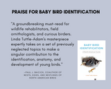 Baby Bird Identification: A North American Guide