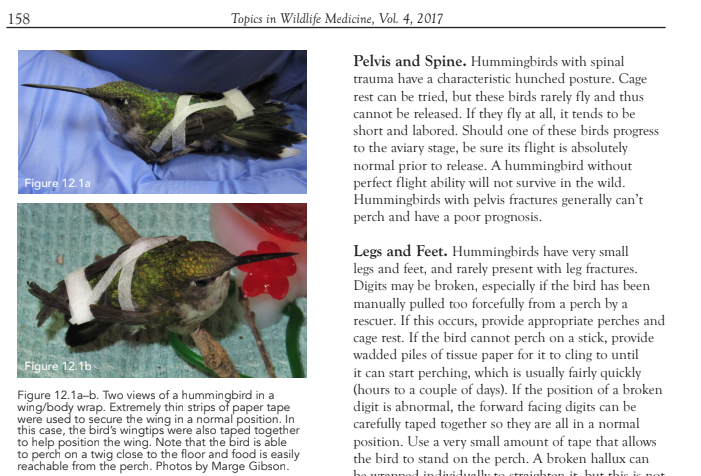 Topics in Wildlife Medicine Volume 4: Orthopedics (available in ebook or print)